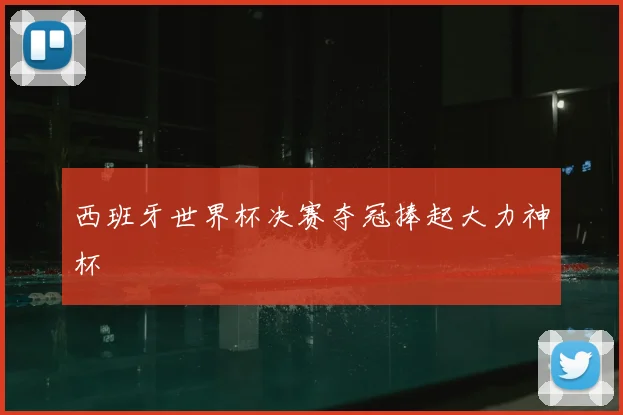 西班牙世界杯决赛夺冠捧起大力神杯